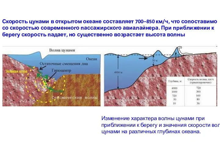 Скорость цунами в открытом океане составляет 700–850 км/ч, что сопоставимо со скоростью