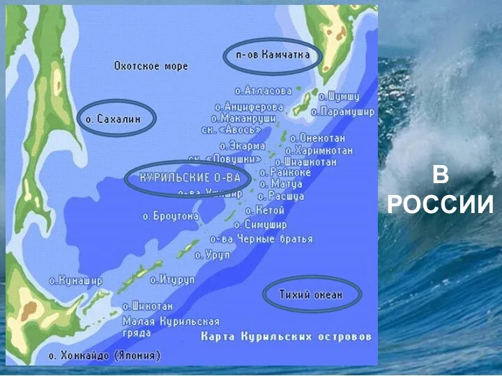 В РОССИИ