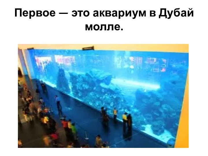 Первое — это аквариум в Дубай молле.