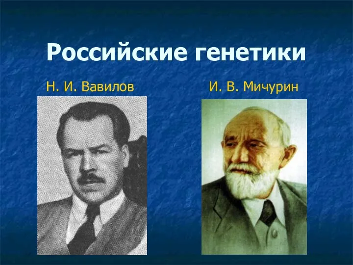 Российские генетики Н. И. Вавилов И. В. Мичурин