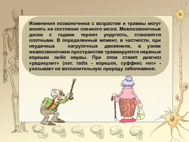 Изменения позвоночника с возрастом и травмы могут влиять на состояние спинного мозга.