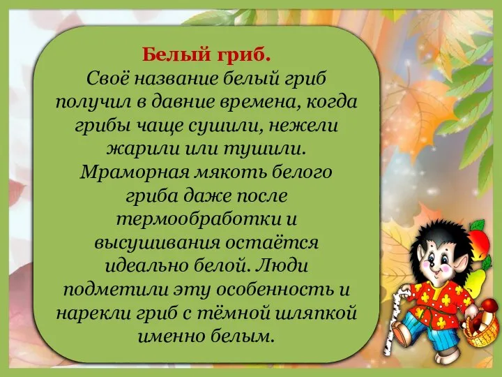 Белый гриб. Своё название белый гриб получил в давние времена, когда грибы