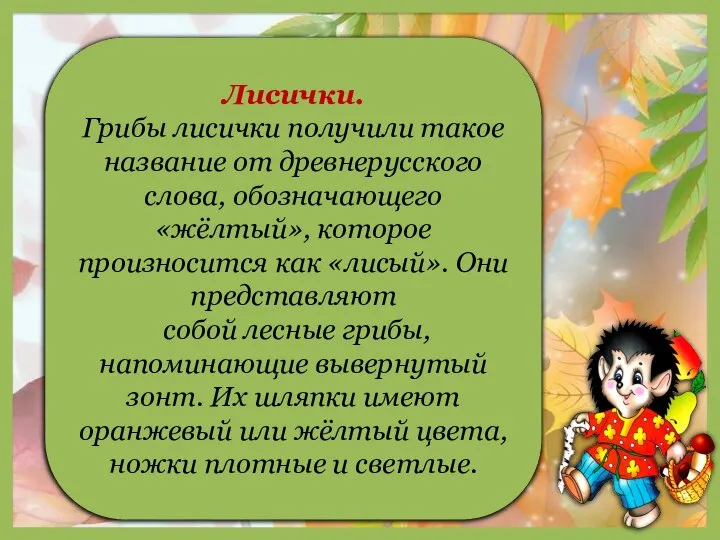 Лисички. Грибы лисички получили такое название от древнерусского слова, обозначающего «жёлтый», которое