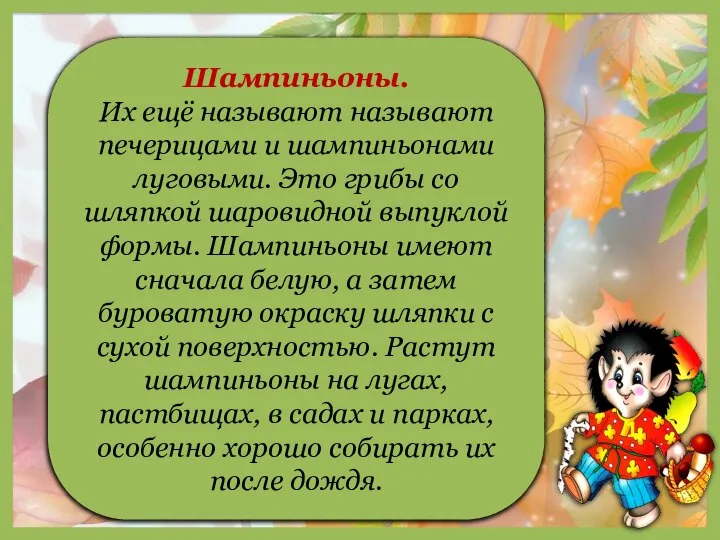 1 Шампиньоны. Их ещё называют называют печерицами и шампиньонами луговыми. Это грибы