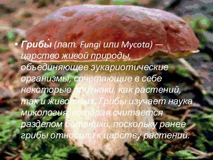 Грибы́ (лат. Fungi или Mycota) — царство живой природы, объединяющее эукариотические организмы,