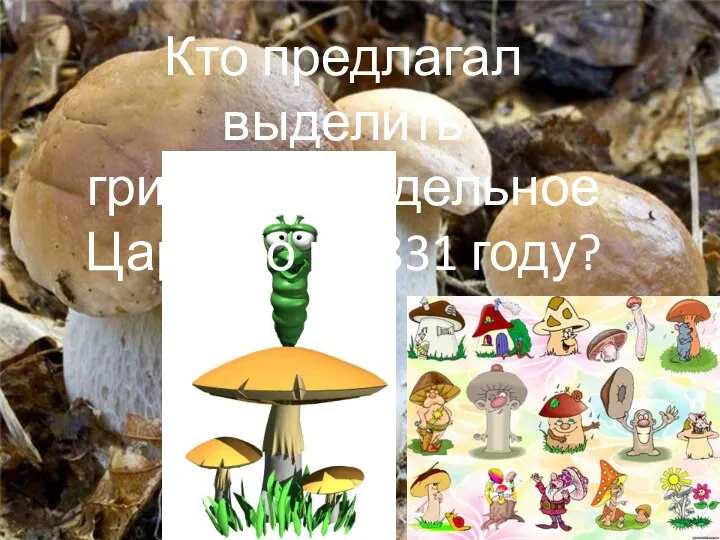 Кто предлагал выделить грибы как отдельное Царство в 1831 году? Э. Фрис