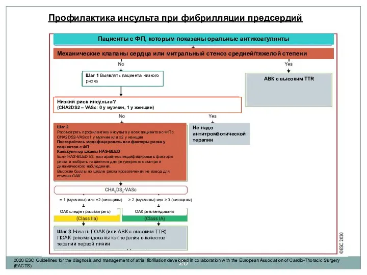 Профилактика инсульта при фибрилляции предсердий Механические клапаны сердца или митральный стеноз средней/тяжелой