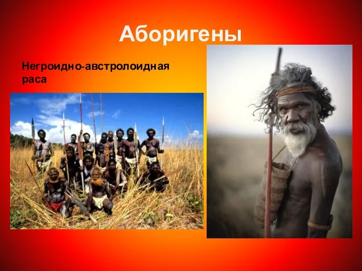 Аборигены Негроидно-австролоидная раса