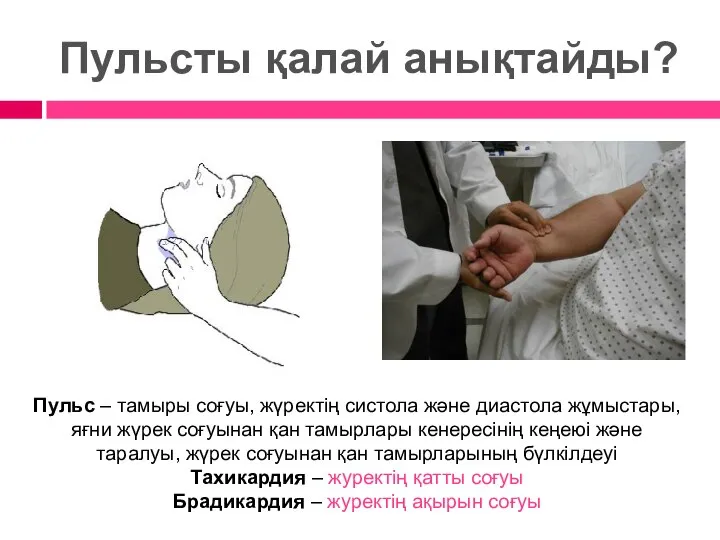 Пульсты қалай анықтайды? Пульс – тамыры соғуы, жүректің систола және диастола жұмыстары,