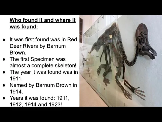 Who found it and where it was found: It was first found