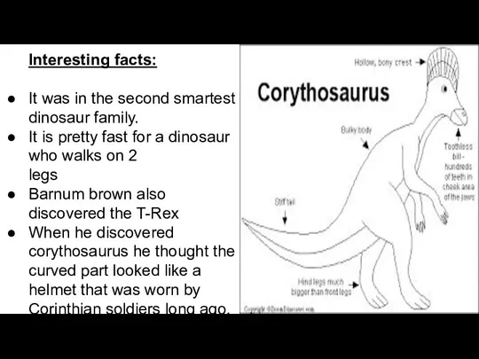 Interesting facts: It was in the second smartest dinosaur family. It is