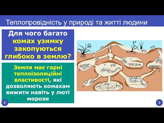 Земля має гарні теплоізоляційні властивості, які дозволяють комахам вижити навіть у люті