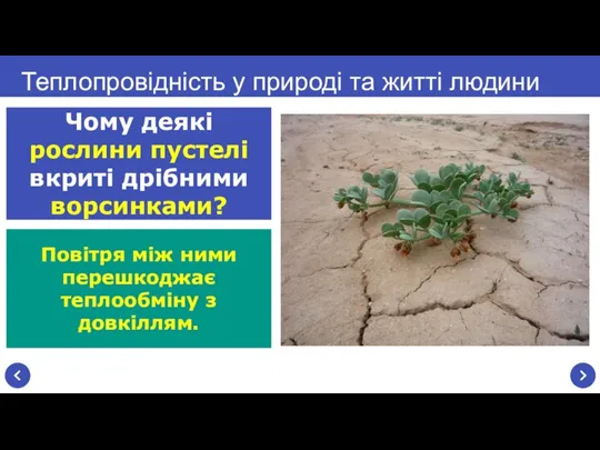 Повітря між ними перешкоджає теплообміну з довкіллям. Теплопровідність у природі та житті