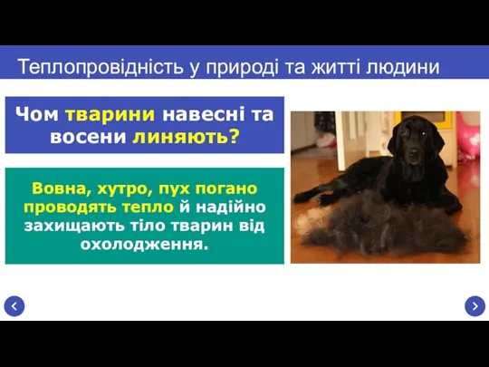 Вовна, хутро, пух погано проводять тепло й надійно захищають тіло тварин від