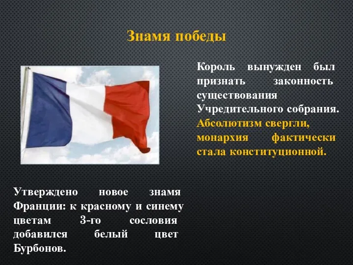 Утверждено новое знамя Франции: к красному и синему цветам 3-го сословия добавился