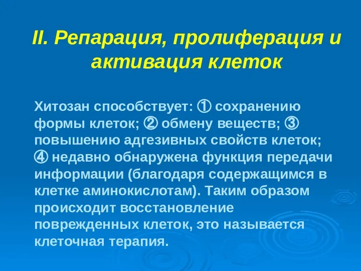 II. Репарация, пролиферация и активация клеток Хитозан способствует: ① сохранению формы клеток;