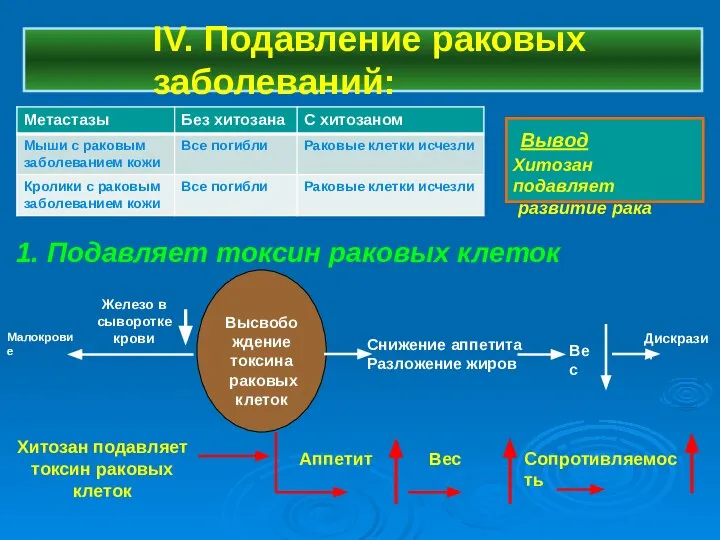 IV. Подавление раковых заболеваний: Высвобождение токсина раковых клеток Снижение аппетита Разложение жиров