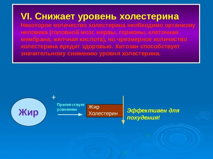 VI. Снижает уровень холестерина Некоторое количество холестерина необходимо организму человека (головной мозг,