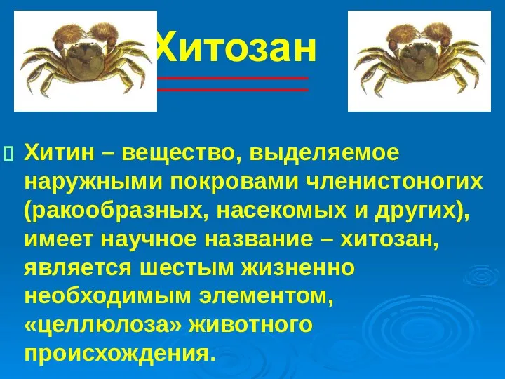 Хитозан Хитин – вещество, выделяемое наружными покровами членистоногих (ракообразных, насекомых и других),