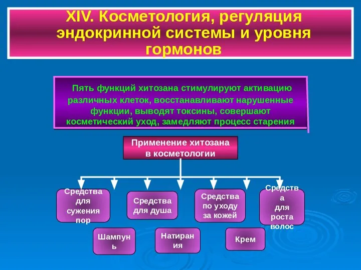 Пять функций хитозана стимулируют активацию различных клеток, восстанавливают нарушенные функции, выводят токсины,