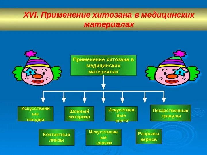 Искусственные связки Применение хитозана в медицинских материалах XVI. Применение хитозана в медицинских