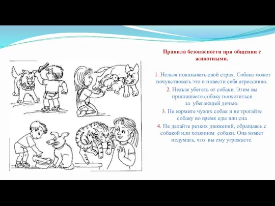 Правила безопасности при общении с животными. 1. Нельзя показывать свой страх. Собака