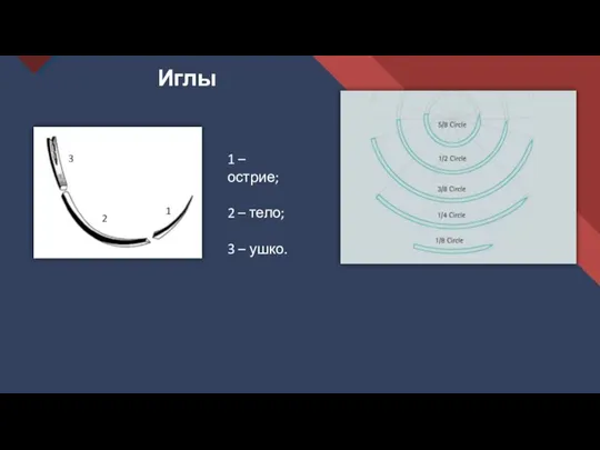 Иглы 1 – острие; 2 – тело; 3 – ушко. 1 2 3