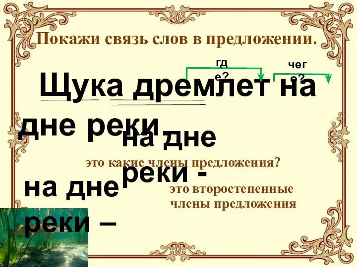 Покажи связь слов в предложении. Щука дремлет на дне реки. где? чего?