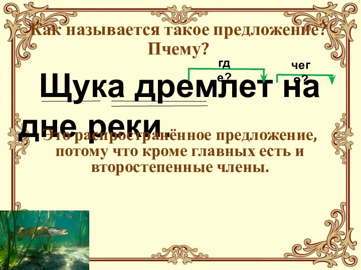 Как называется такое предложение? Пчему? Щука дремлет на дне реки. где? чего?