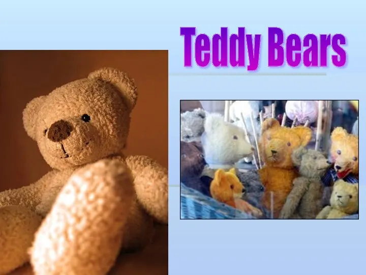 Teddy Bears