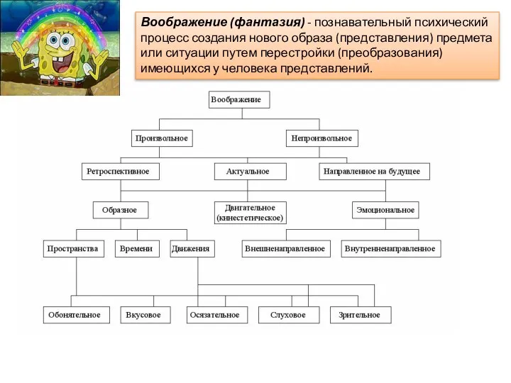 Воображение (фантазия) - познавательный психический процесс создания нового образа (представления) предмета или