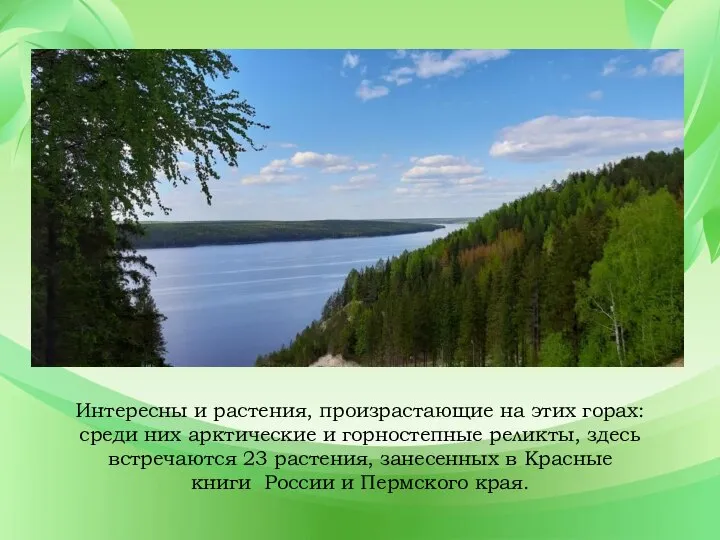 Интересны и растения, произрастающие на этих горах: среди них арктические и горностепные