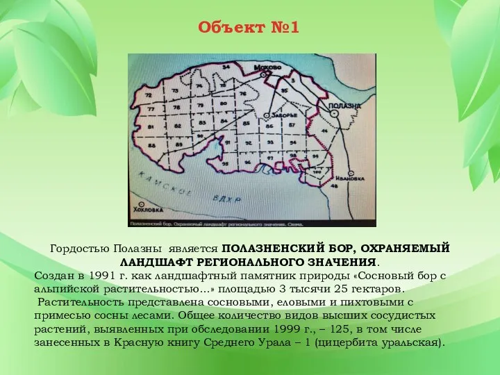 Гордостью Полазны является ПОЛАЗНЕНСКИЙ БОР, ОХРАНЯЕМЫЙ ЛАНДШАФТ РЕГИОНАЛЬНОГО ЗНАЧЕНИЯ. Создан в 1991