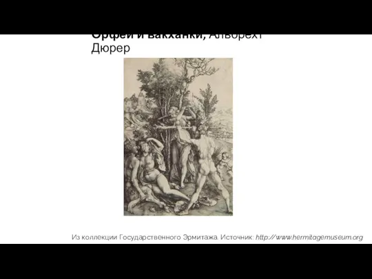 Орфей и вакханки, Альбрехт Дюрер Из коллекции Государственного Эрмитажа. Источник: http://www.hermitagemuseum.org