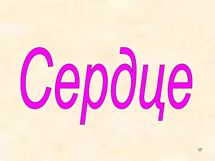 Сердце