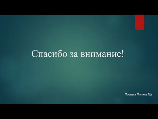 Спасибо за внимание! Путилин Никита 10А