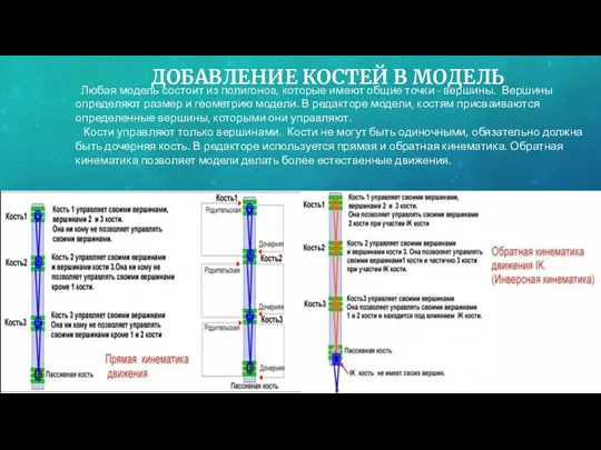 ДОБАВЛЕНИЕ КОСТЕЙ В МОДЕЛЬ Любая модель состоит из полигонов, которые имеют общие