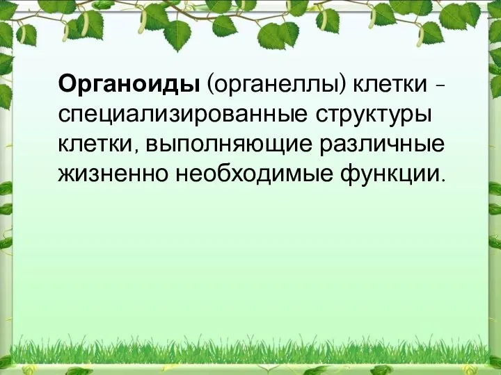 Органоиды (органеллы) клетки - специализированные структуры клетки, выполняющие различные жизненно необходимые функции.