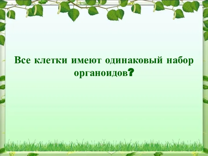 Все клетки имеют одинаковый набор органоидов?