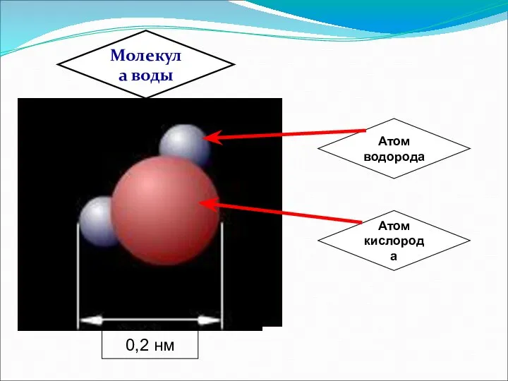 Атом водорода Молекула воды 0,2 нм Атом кислорода