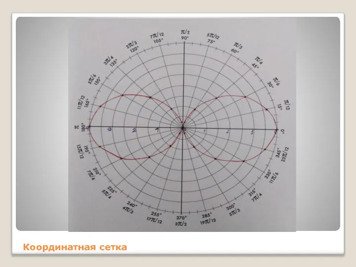 Координатная сетка