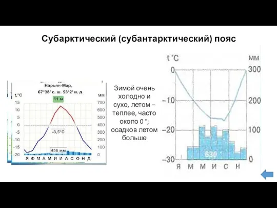 Субарктический (субантарктический) пояс Зимой очень холодно и сухо, летом – теплее, часто