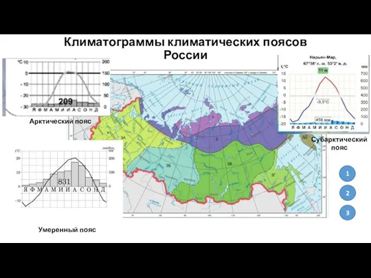 Климатограммы климатических поясов России Умеренный пояс Арктический пояс Субарктический пояс 2 3 1