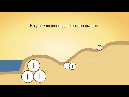 Йод в почве распределён неравномерно.