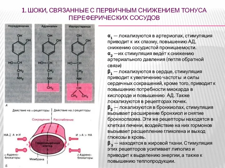 1. ШОКИ, СВЯЗАННЫЕ С ПЕРВИЧНЫМ СНИЖЕНИЕМ ТОНУСА ПЕРЕФЕРИЧЕСКИХ СОСУДОВ α1 — локализуются