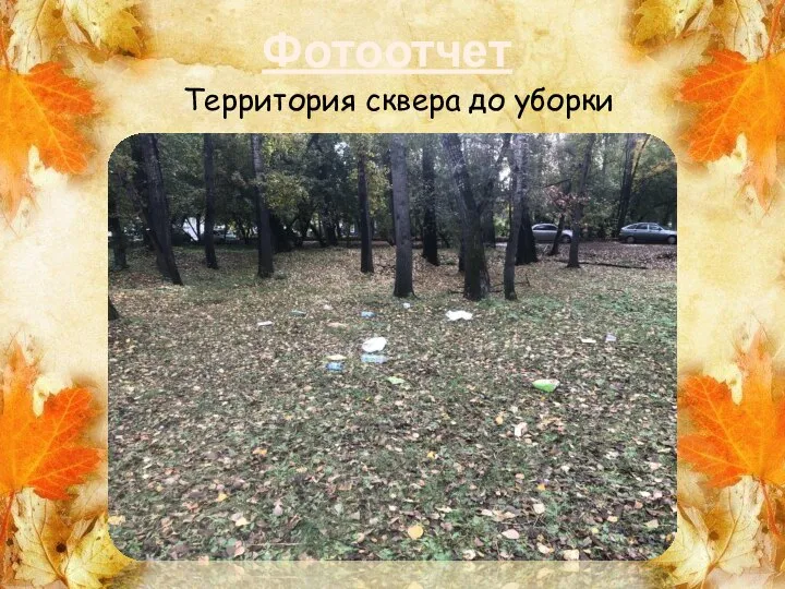 Фотоотчет Территория сквера до уборки