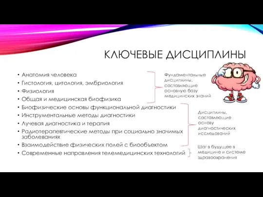 КЛЮЧЕВЫЕ ДИСЦИПЛИНЫ Анатомия человека Гистология, цитология, эмбриология Физиология Общая и медицинская биофизика