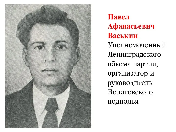 Павел Афанасьевич Васькин Уполномоченный Ленинградского обкома партии, организатор и руководитель Волотовского подполья