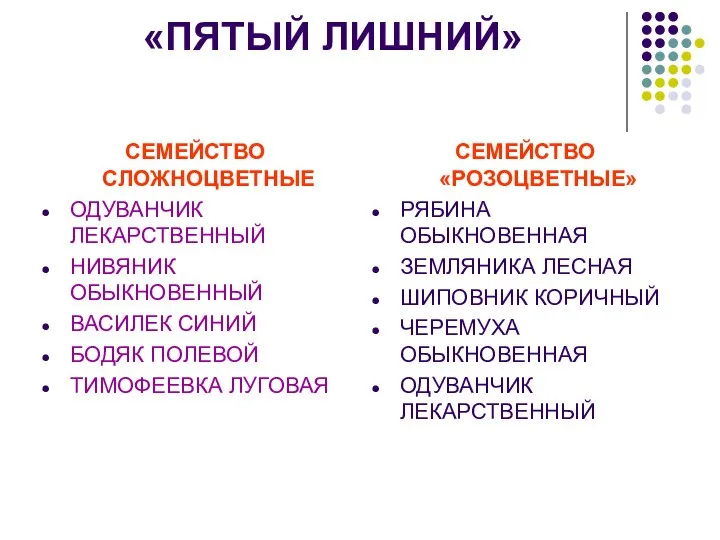 «ПЯТЫЙ ЛИШНИЙ» СЕМЕЙСТВО СЛОЖНОЦВЕТНЫЕ ОДУВАНЧИК ЛЕКАРСТВЕННЫЙ НИВЯНИК ОБЫКНОВЕННЫЙ ВАСИЛЕК СИНИЙ БОДЯК ПОЛЕВОЙ