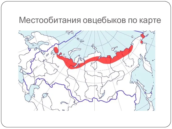 Местообитания овцебыков по карте